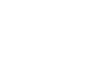 PayPal accepted
