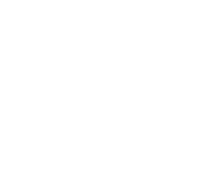 Visa card accepted